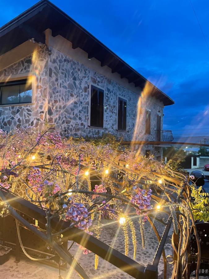Vila Luxury House Teodora Deva Exteriér fotografie