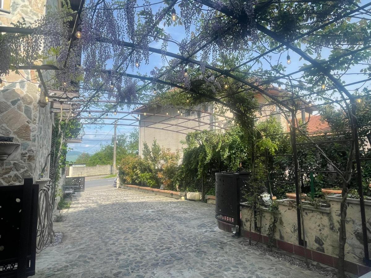 Vila Luxury House Teodora Deva Exteriér fotografie